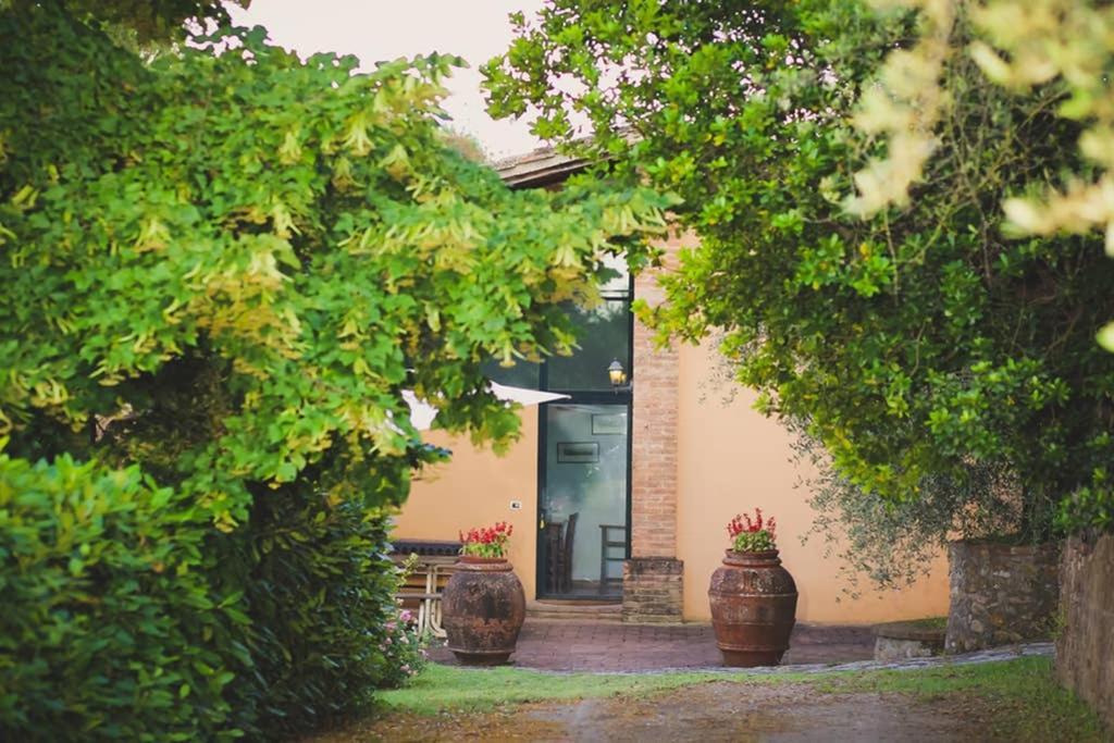 Villa Capannina Vico d'Arbia Экстерьер фото
